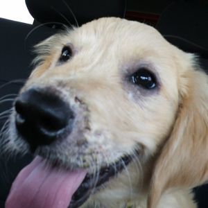 Meet your Posher, Teri